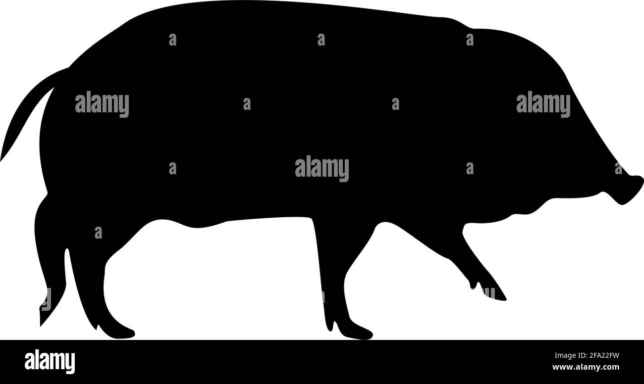 Silhouette wild boar hog wart swine suidae sus tusker scrofa black color vector illustration flat style simple image Stock Vector