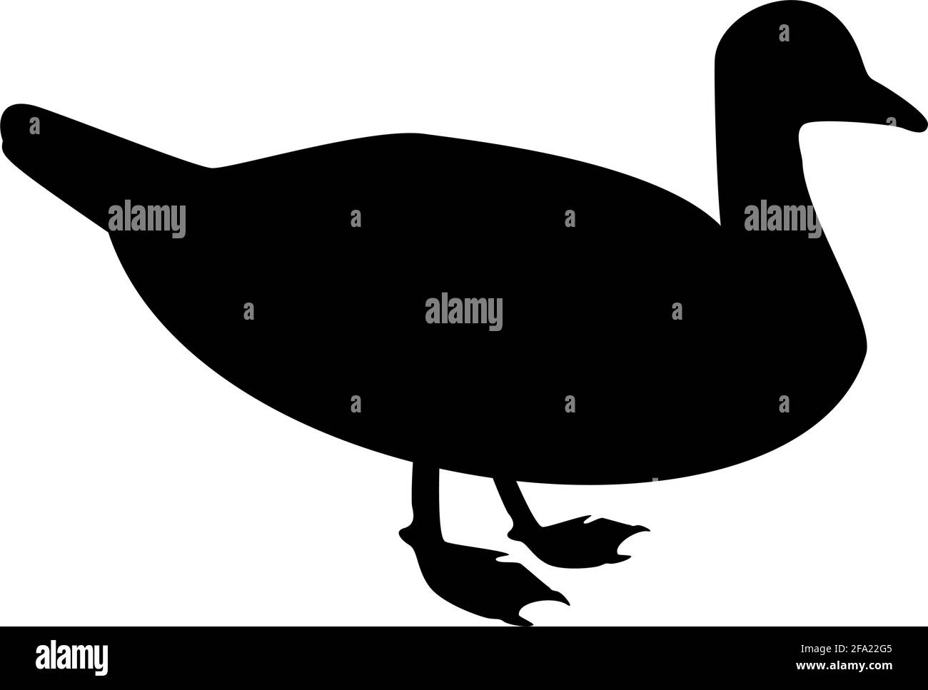 Silhouette duck male mallard bird waterbird waterfowl poultry fowl canard black color vector illustration flat style simple image Stock Vector