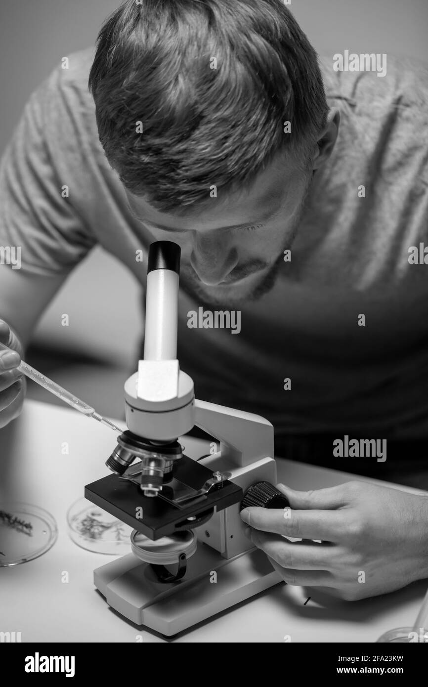 young bearded biologist looking through microscope examining seeds of plants Stock Photo