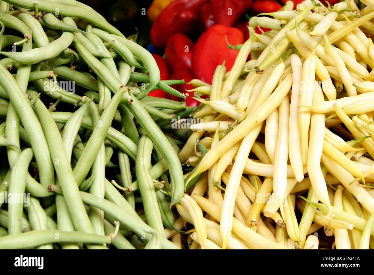 pole bean (Phaseolus vulgaris var. vulgaris), green and yellow beans Stock Photo