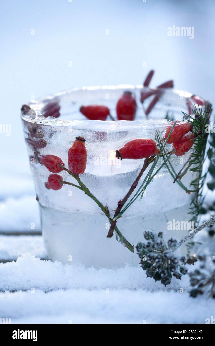 ice lantern, candle burns inside an ice bowl, which is decorated with frozen natural materials enclosed in the ice , Germany Stock Photo