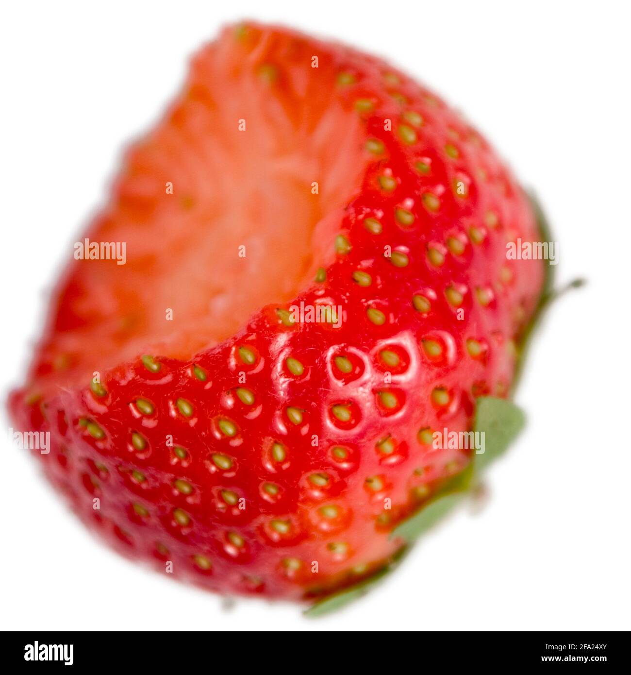 hybrid strawberry, garden strawberry (Fragaria x ananassa, Fragaria ananassa), bitten strawberry Stock Photo