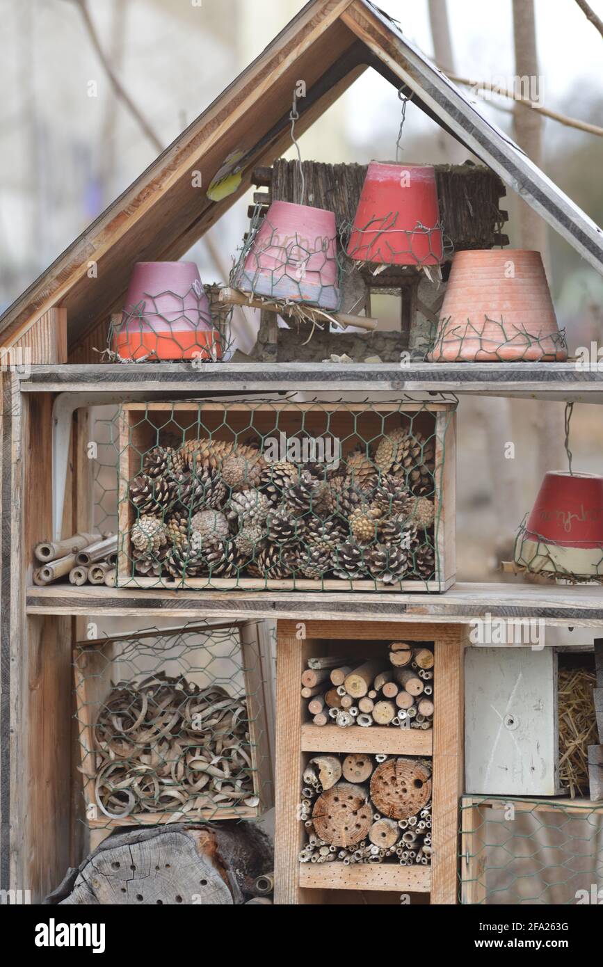 House Up Insect Wooden house for insects and bees (vertical format Stock Photo - Alamy