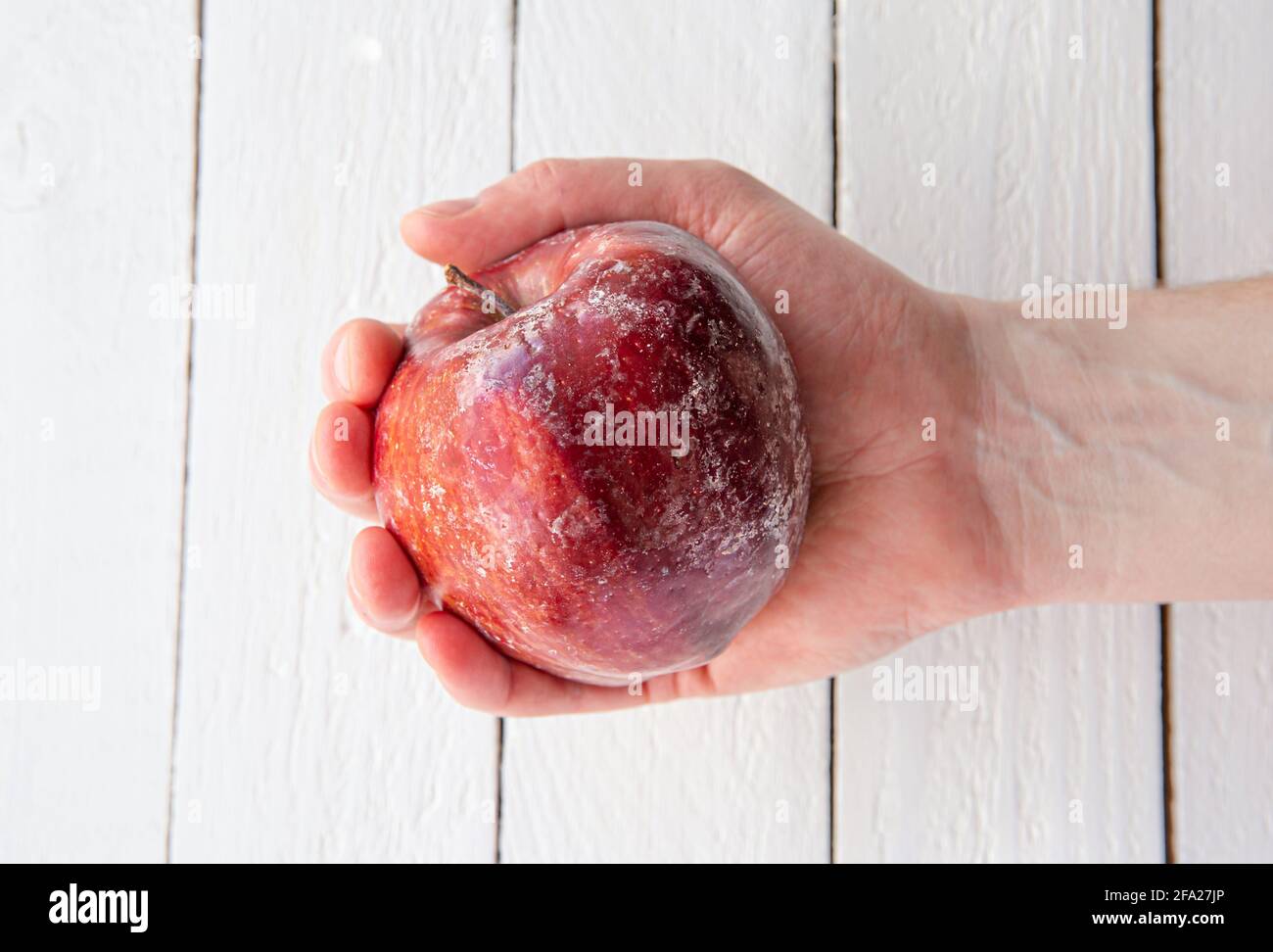 Man hand holding an red apple with white layer of protection wax partially dissolving after washing an apple at home. Stock Photo