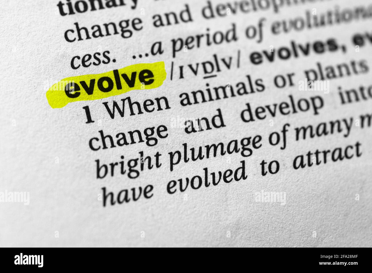 Highlighted word evolve concept and meaning Stock Photo