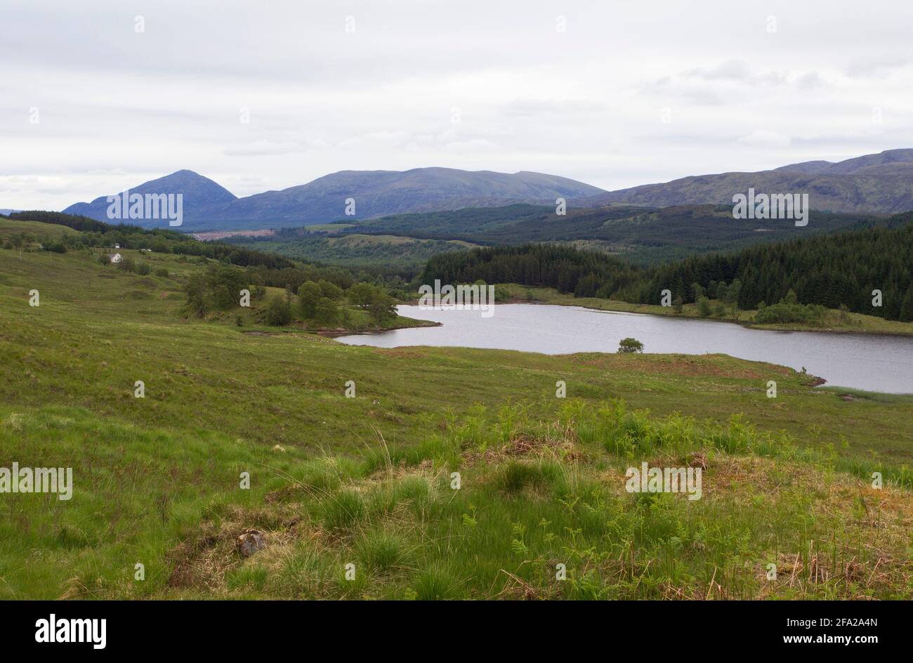 Small loch and moorland, Glen Garry, Highland, Scotland, UK. Stock Photo