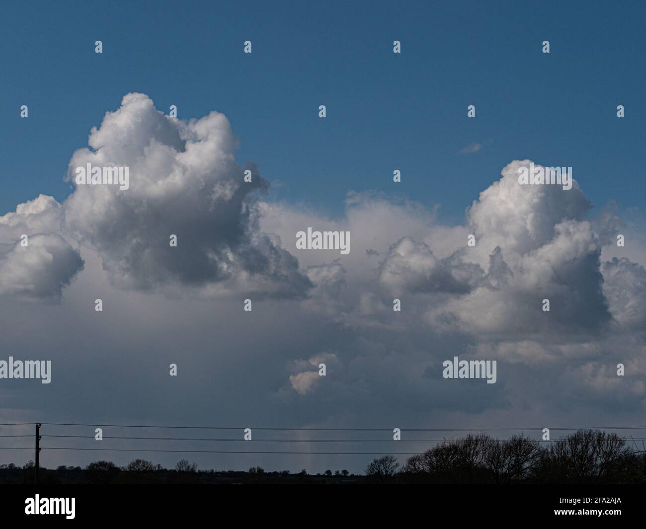 Billowing Cumulonimbus clouds in a blue sky over Westbury, Wiltshire, England, UK. Stock Photo