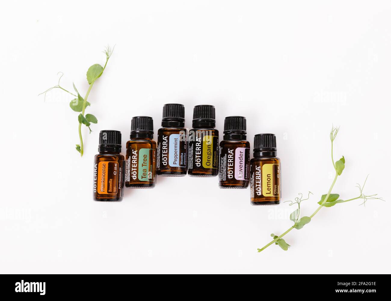 Doterra Royalty-Free Images, Stock Photos & Pictures