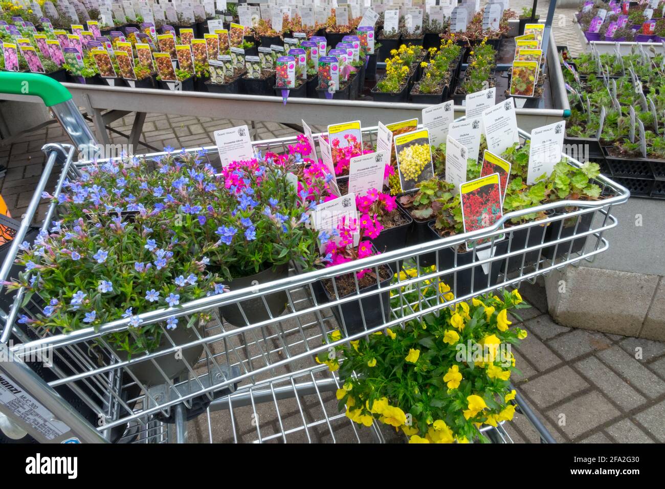 Shopping at a garden centre hi-res stock photography and images - Alamy