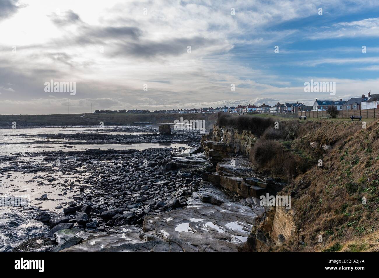 Charley's Garden in Collywell Bay, Seaton Sluice, Northumberland, UK Stock Photo