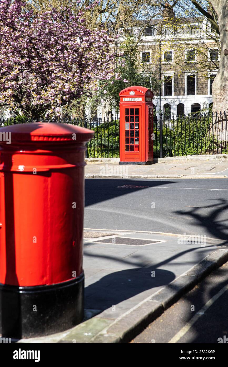 British red telephone box, post box and cherry trees in bloom Stock Photo