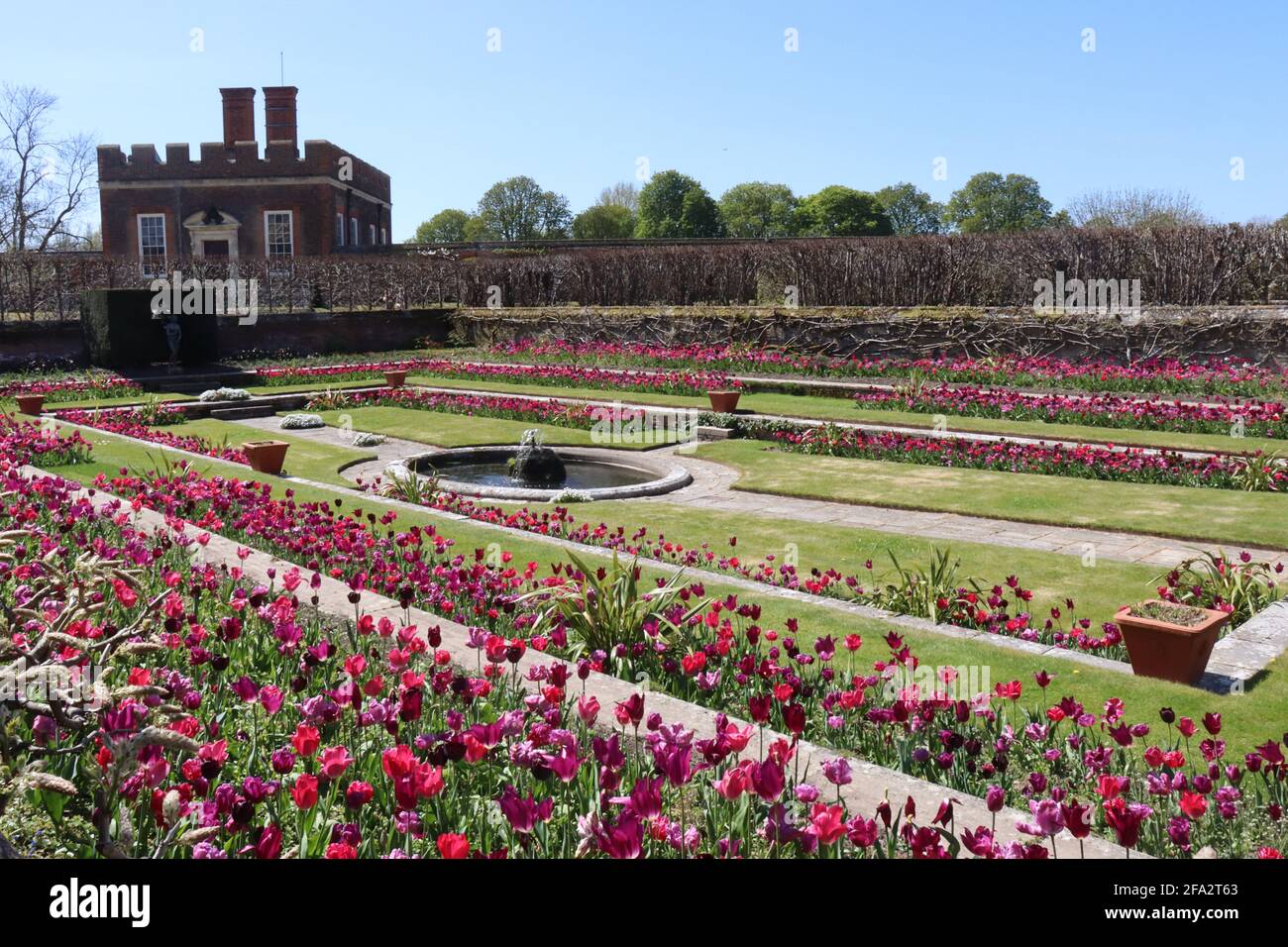 Hampton Court gardens Stock Photo