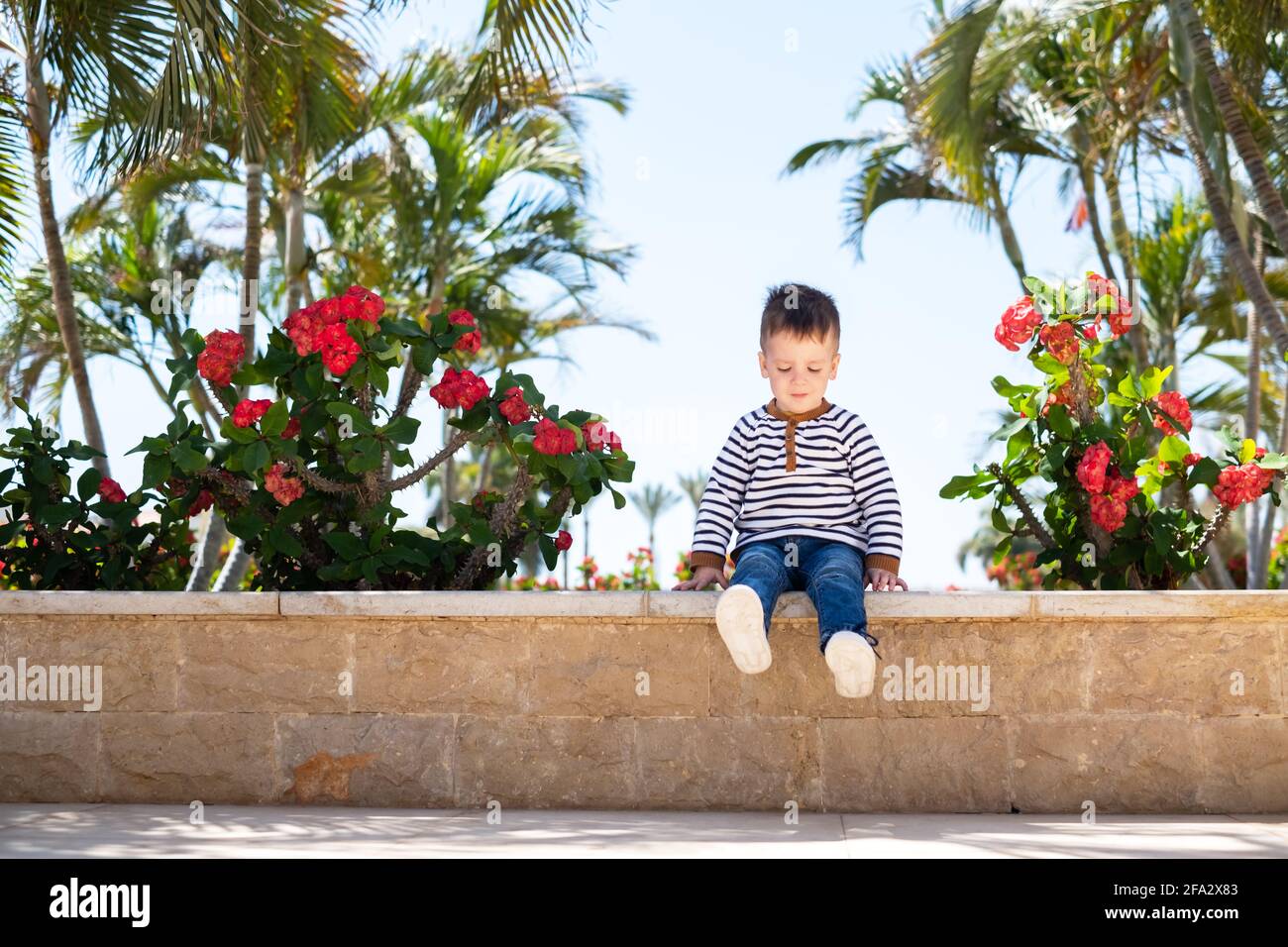 Little boy kid sitting on bench in park Stock Photo