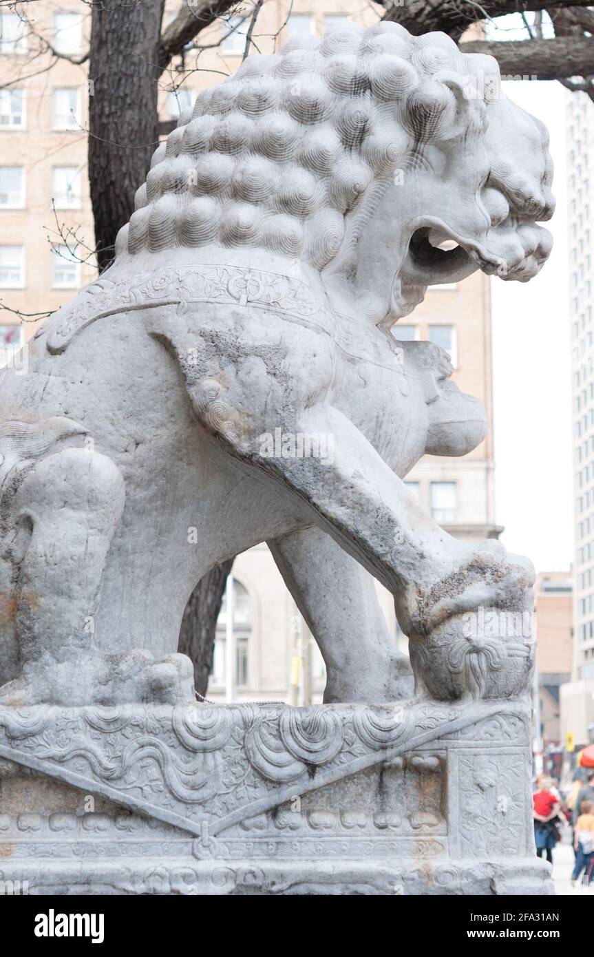 Lion side profile hi-res stock photography and images - Alamy