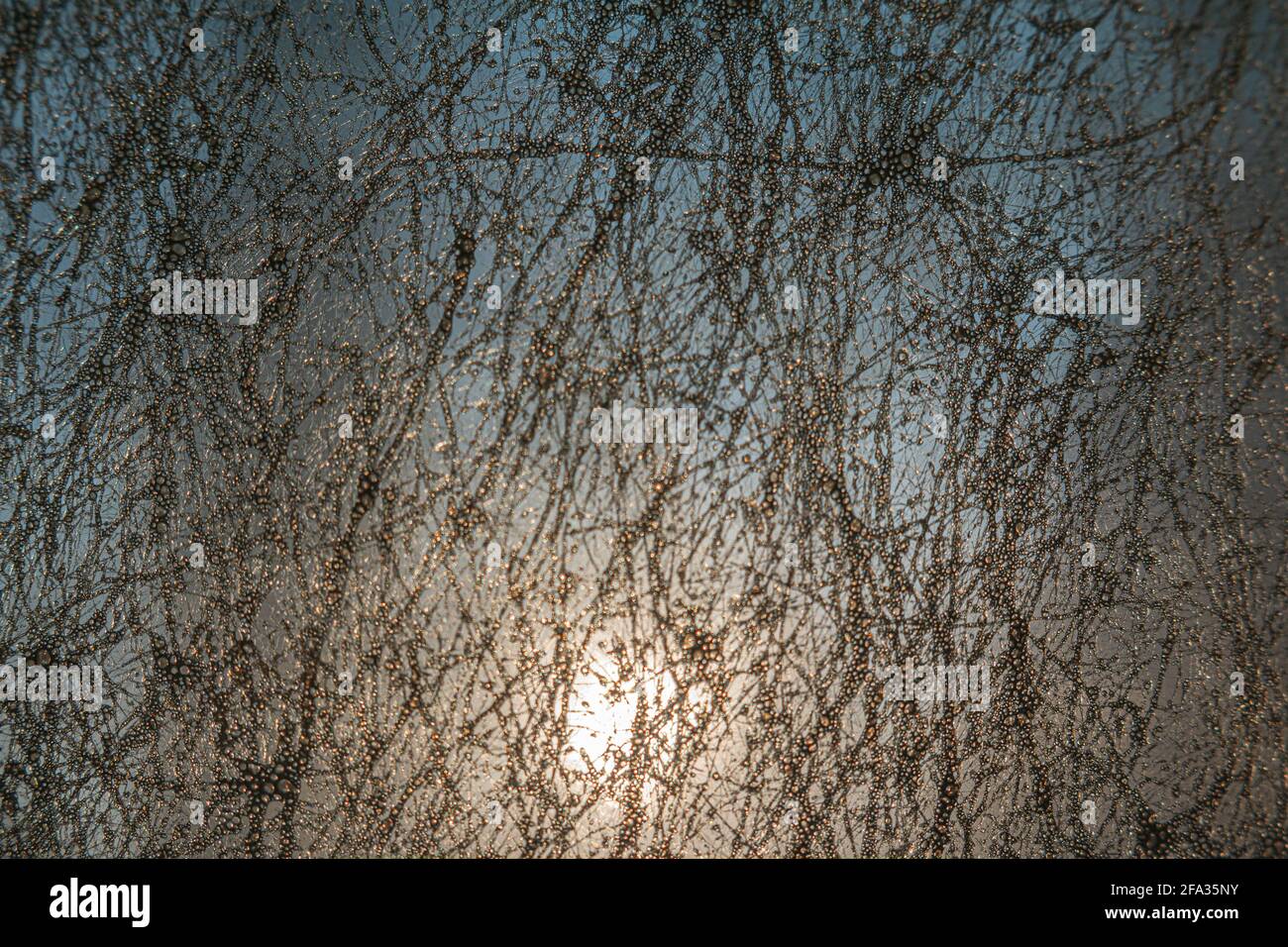 Hintergrundstruktur mit Licht Stock Photo