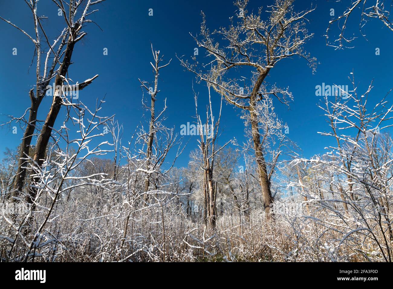Detroit, Michigan - Belle Isle, an island park in the Detroit River, after a spring snowfall. Stock Photo