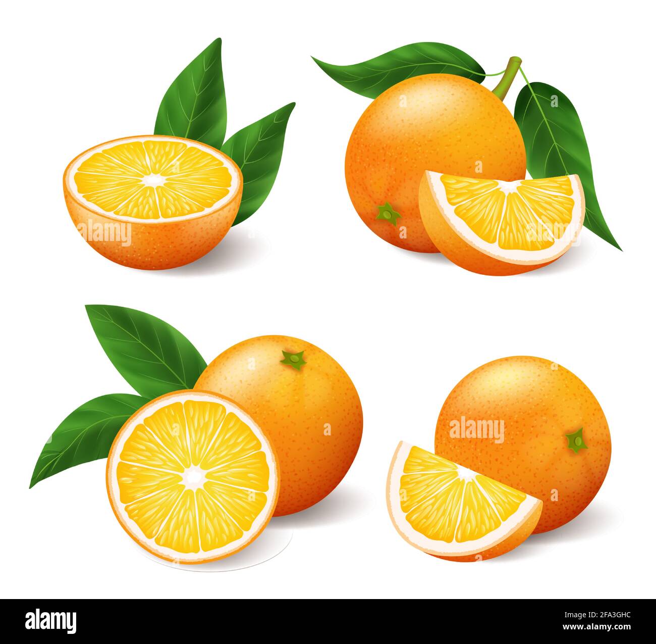 Realistic bright yellow oranges with green leaf whole and sliced set Stock Vector Image & Art