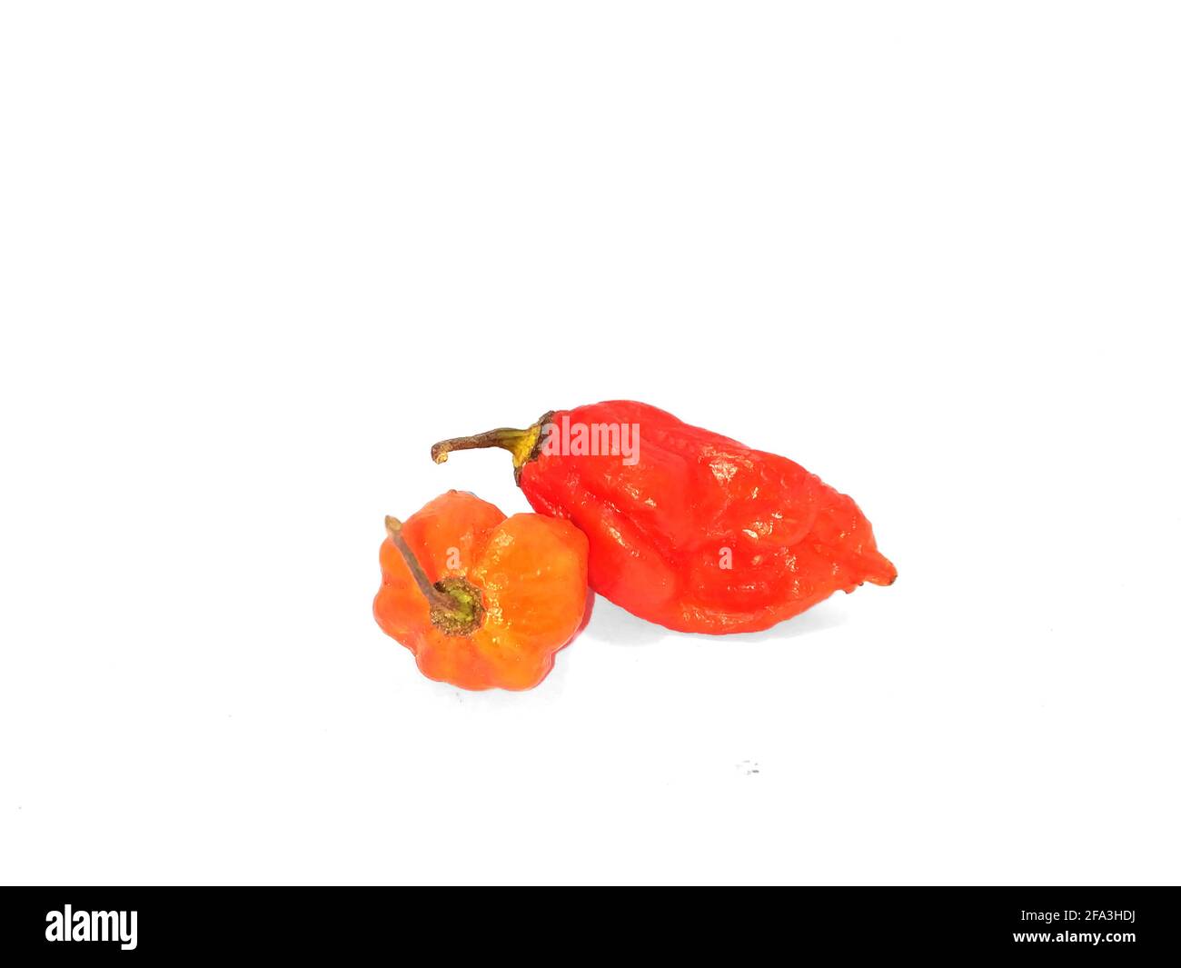 bhut jolokia ghost pepper isolated on white background. ghost pepper page border .bhut jolokia ghost pepper isolated on white background.bhut jolokia . Stock Photo