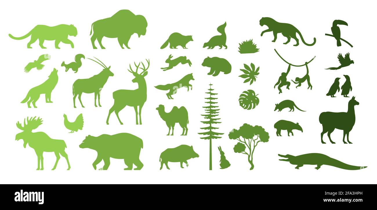 North, South America, Eurasia wild animal silhouettes, vector illustration.  Save, discover wildlife. Zoo. Geography Stock Vector Image & Art - Alamy