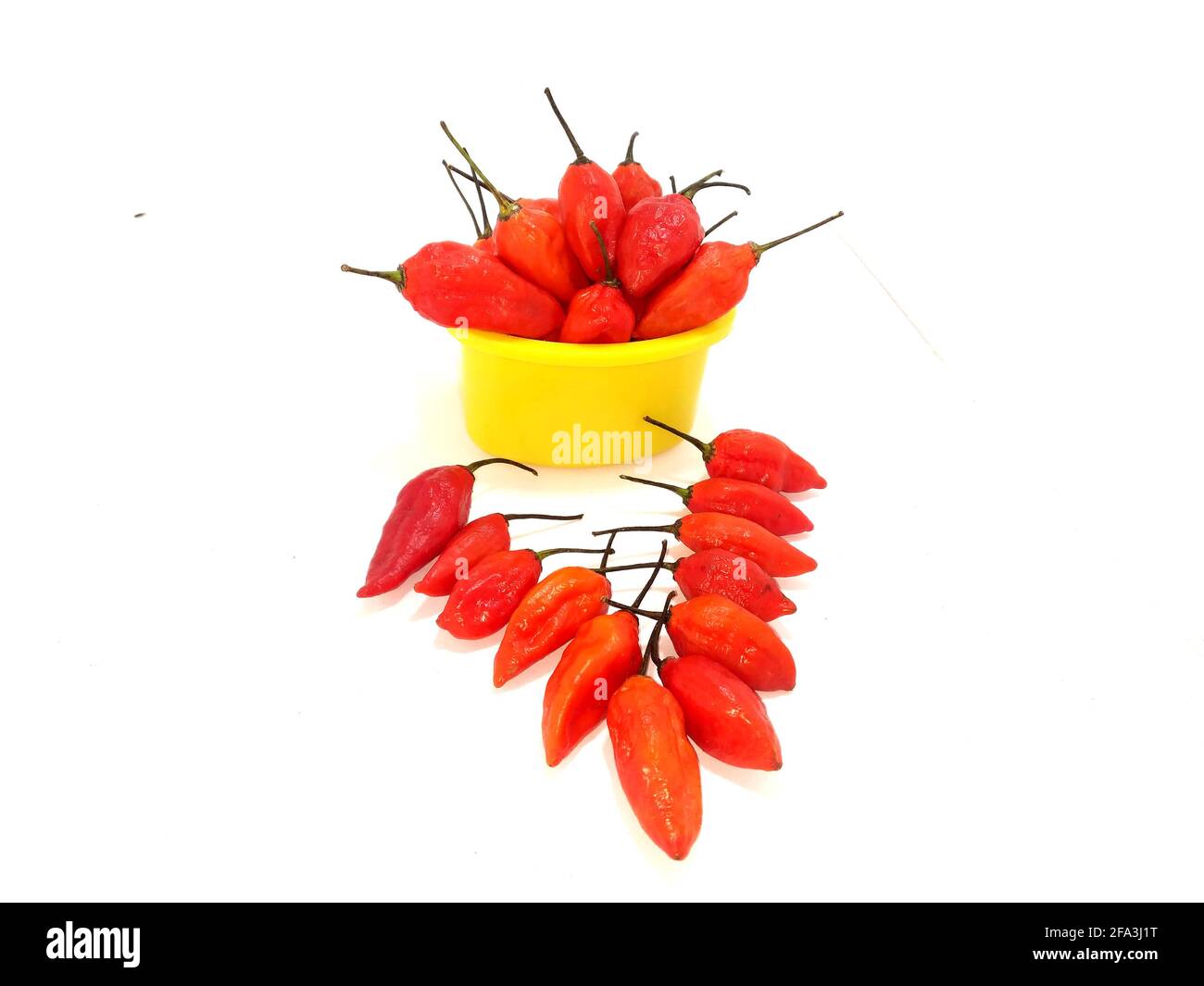 bhut jolokia ghost pepper isolated on white background. ghost pepper