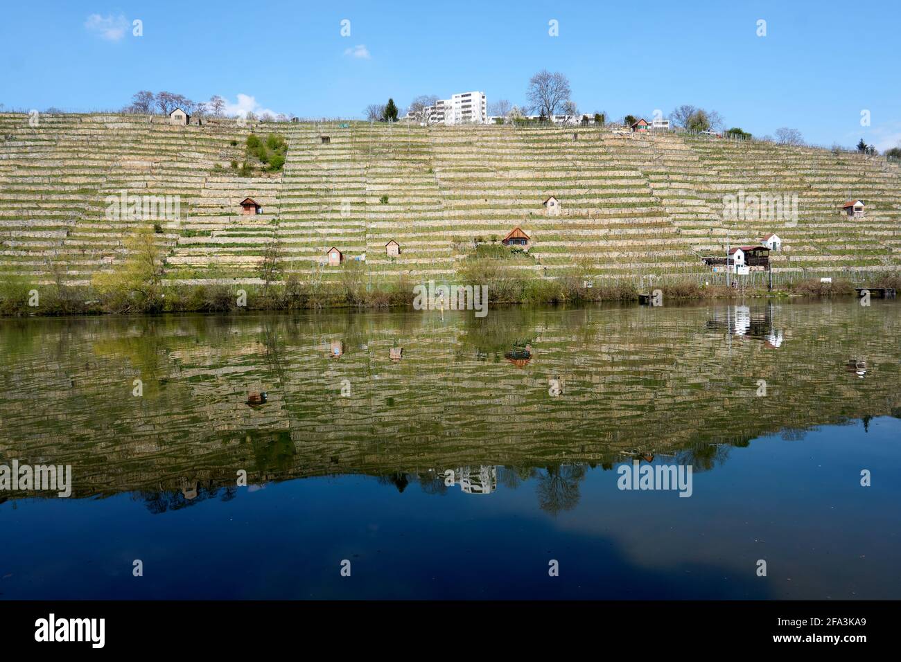 Beautiful shot of a reflection of trees on the lake Stock Photo - Alamy