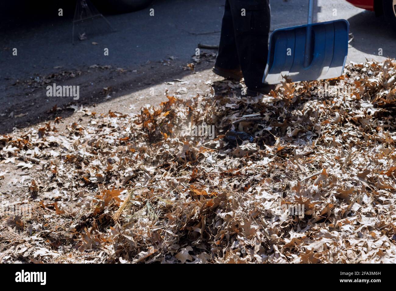 Cleaning in the fallen down fall of foliage leaves with during autumn time in the city Stock Photo
