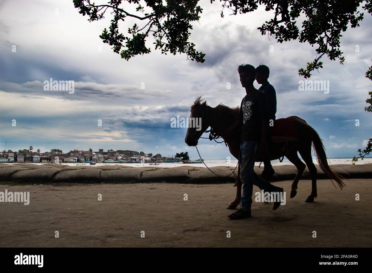 Horseman moving with tourist besides the riverbank I captured this image on 15th September 2020 from Chandpur, Bangladesh, South Asia Stock Photo