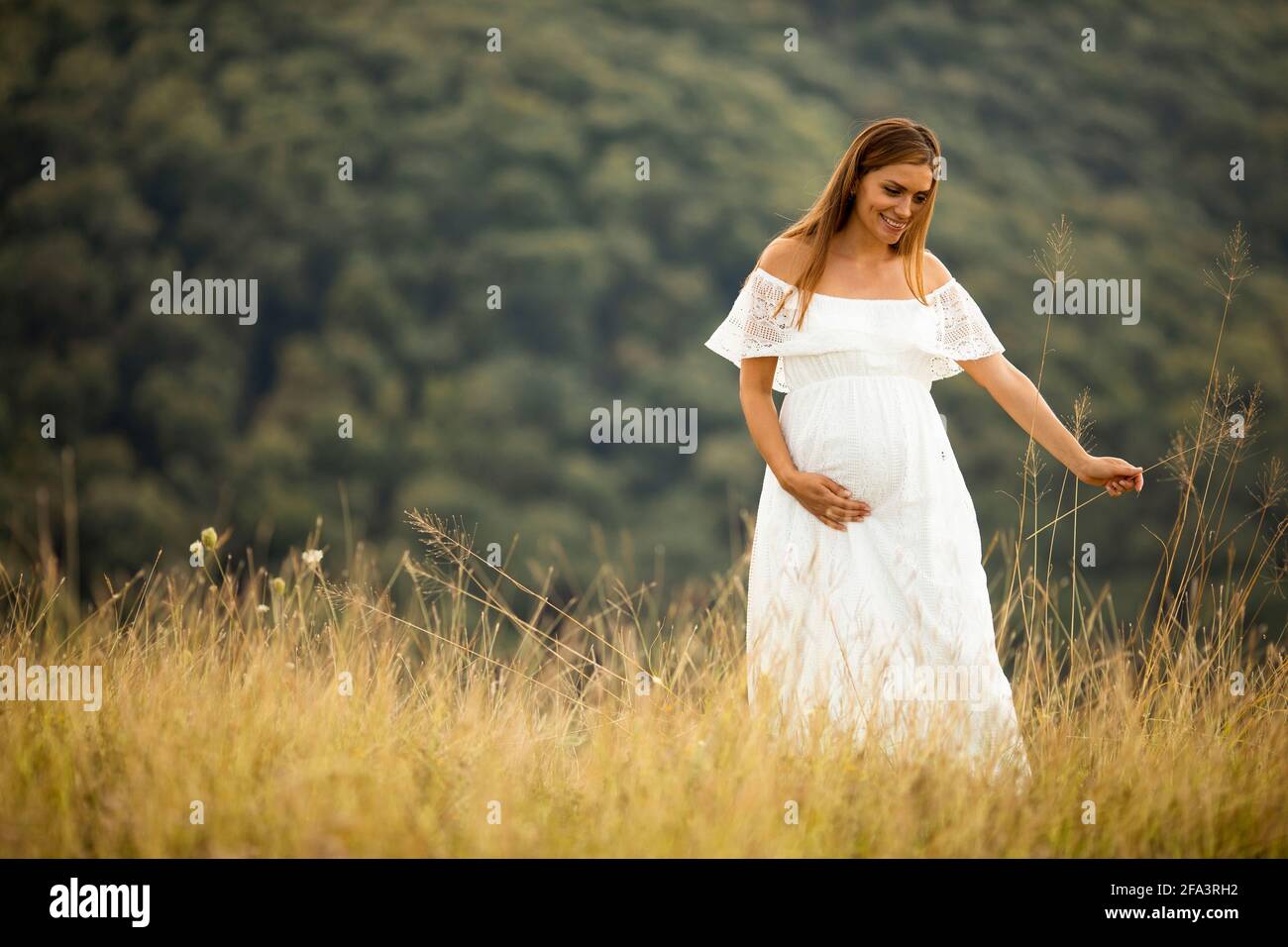 Young pregnant woman in white dress at the summer field Stock Photo - Alamy