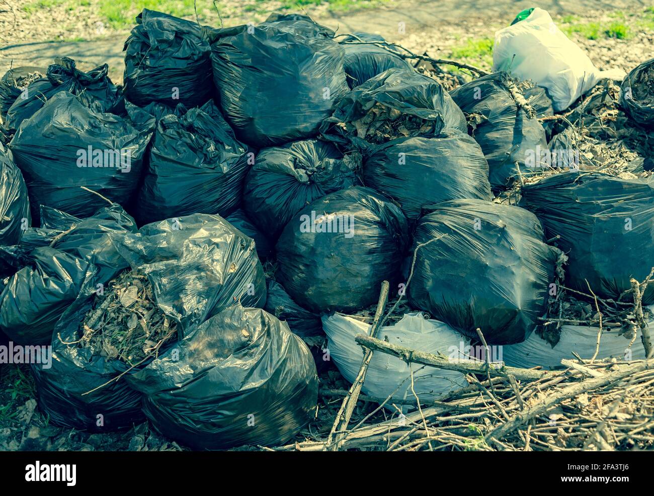 plastic bags filled with organic waste from garden and yard. Garbage bags  with leaves. ecology Stock Photo - Alamy