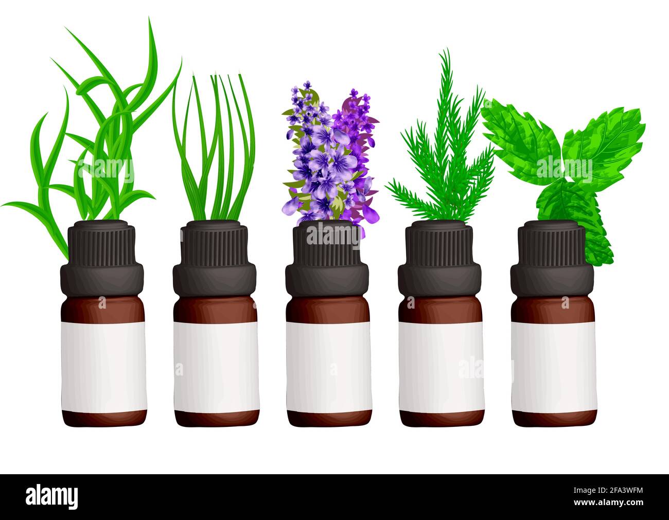 essential oil set isolated on white background Stock Vector