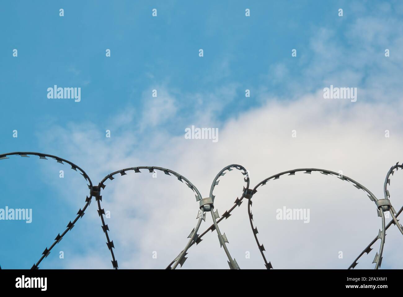 Barbed wire on a background of blue sky and white clouds Stock Photo ...
