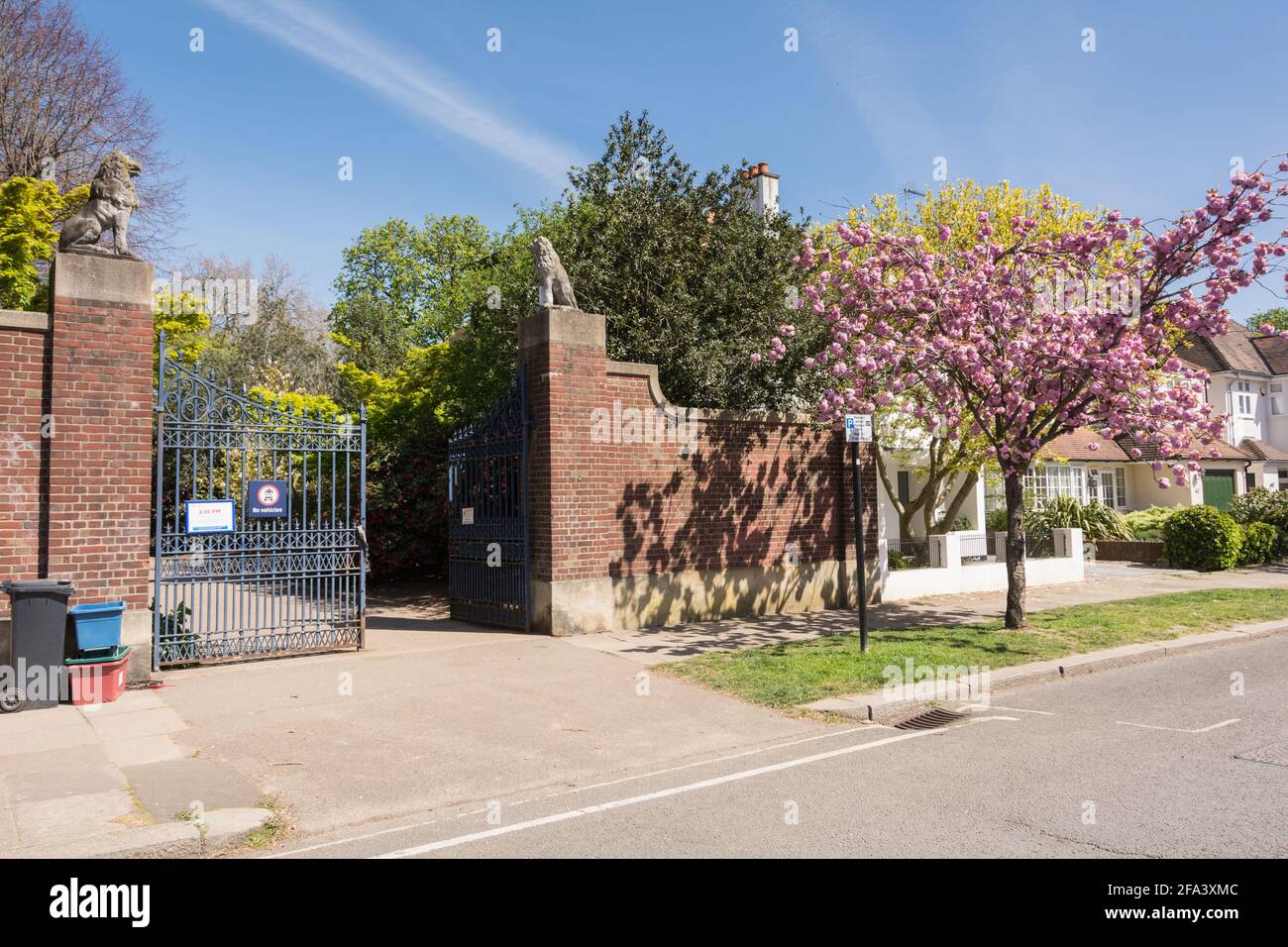 Entrance to Chiswick House and Gardens and pink cherry blossom Sakura trees (Prunus serrulata) on Staveley Road in Chiswick, west London, UK Stock Photo