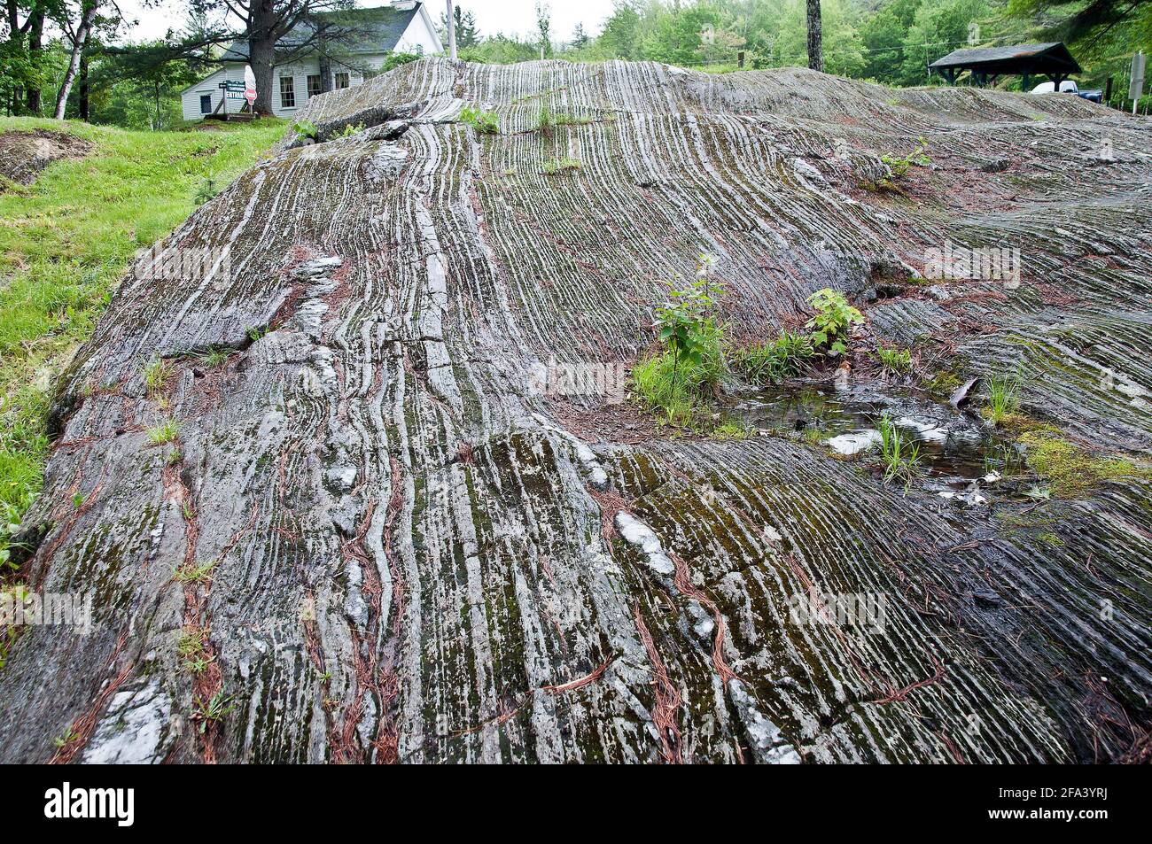 Glacial striations in rock, Maine Stock Photo Alamy