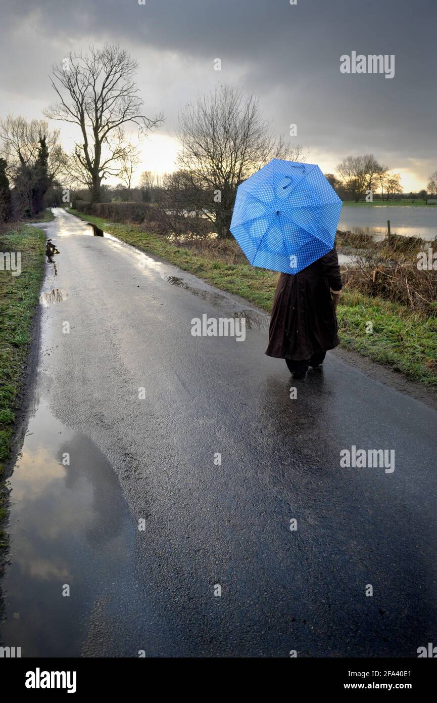 soliitary women in stockmans coat with blue spotted umbrella on minor road overlooking  flooded marshland ellingham norfolk england Stock Photo