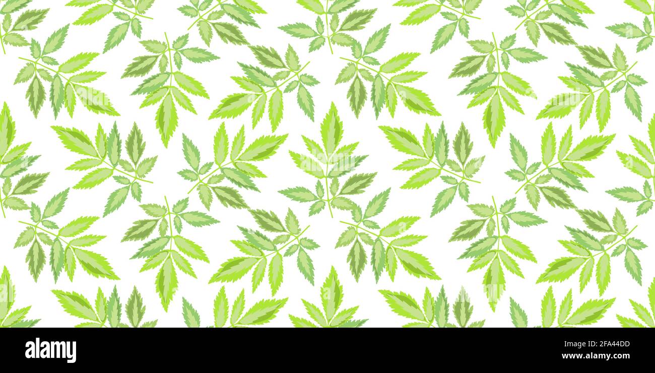 Vector floral seamless pattern. Green leaves isolated on a white ...