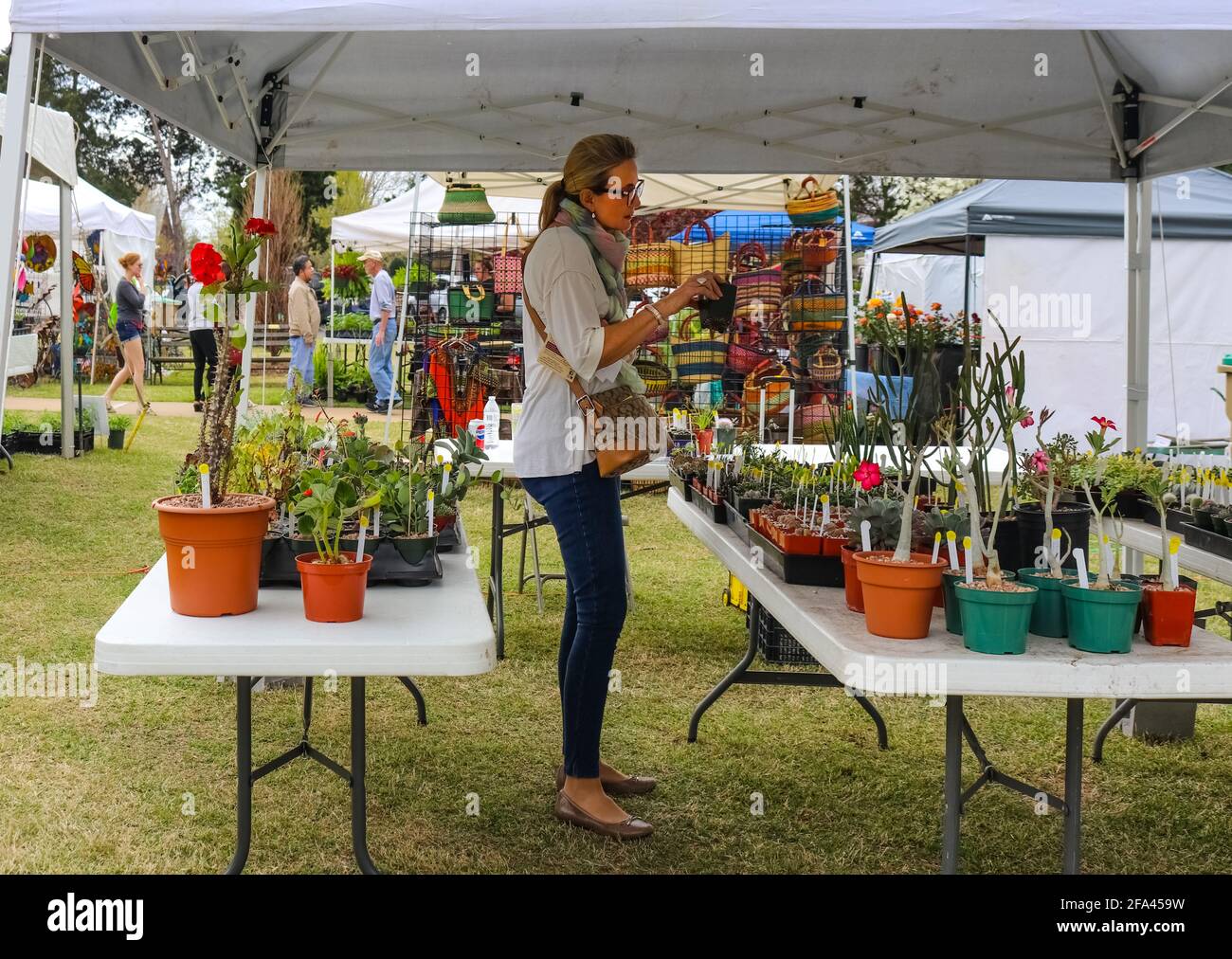 Tulsa Oklahoma USA 4 13 2018  Woman examines plants for sale in booth in spring garden show Stock Photo