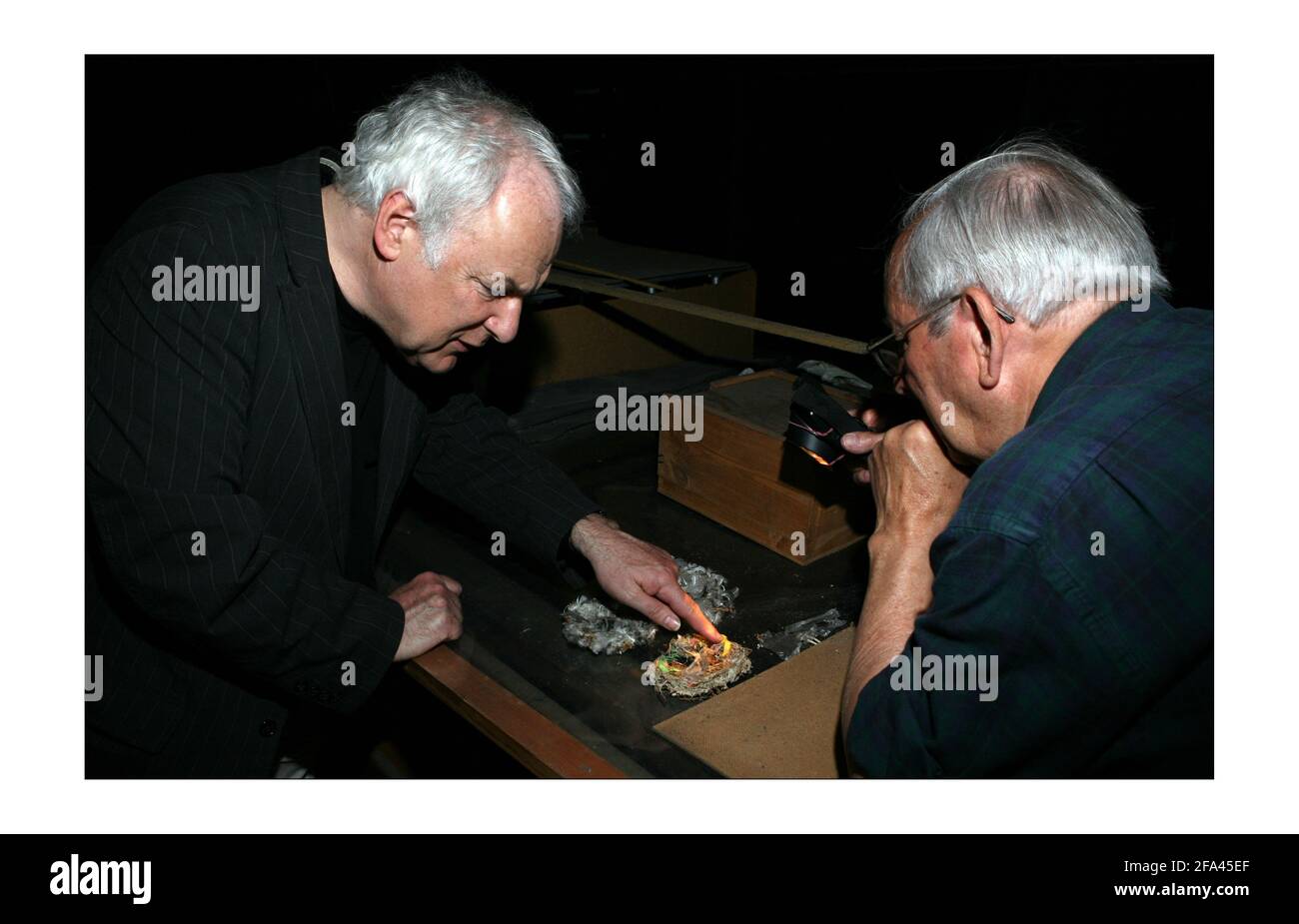 Swifts nest in the tower of the Oxford museum of Natural History, monitored for the last 46 years by Swift guardian Roy Overall (right) visited by Edward Mayer (black Jacket)London Swifts campaignphotograph by David Sandison The Independent Stock Photo