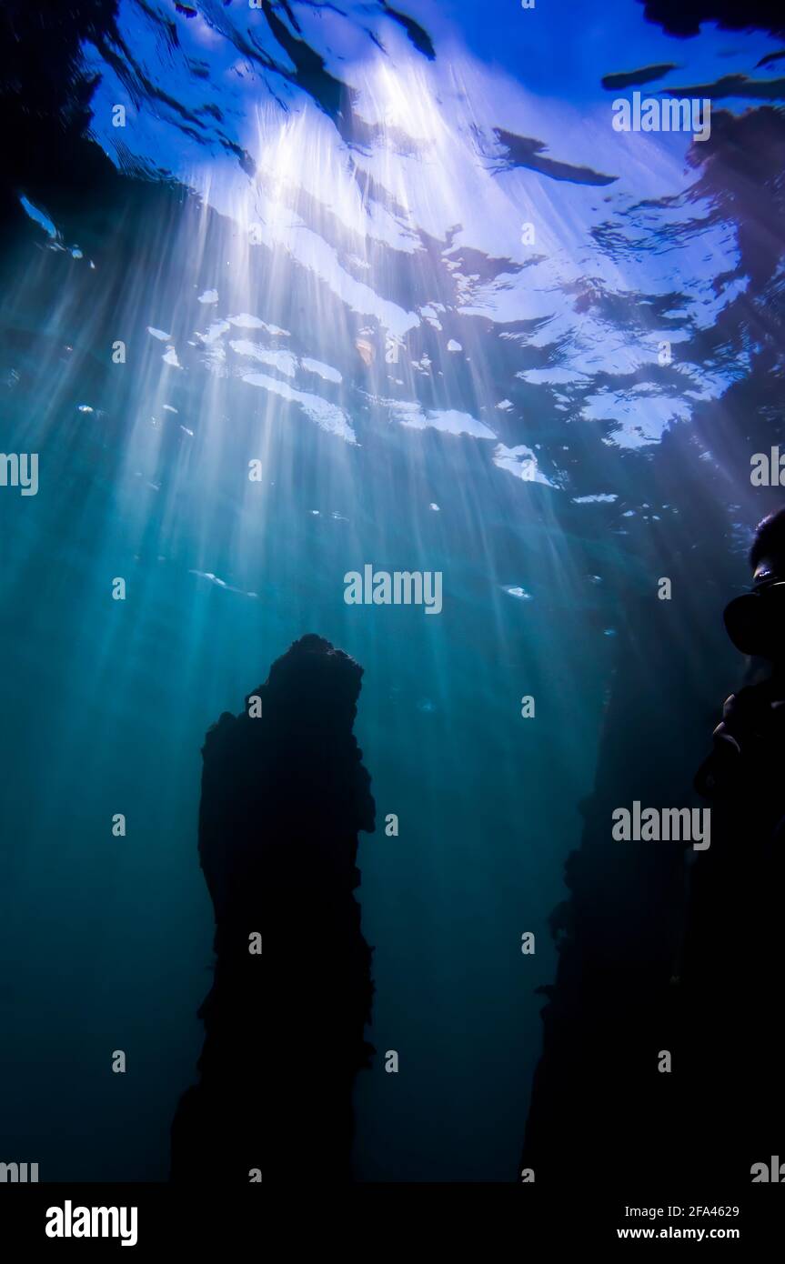 Rays of sunlight pierce through clear ocean water and onto reef in underwater image. Stock Photo