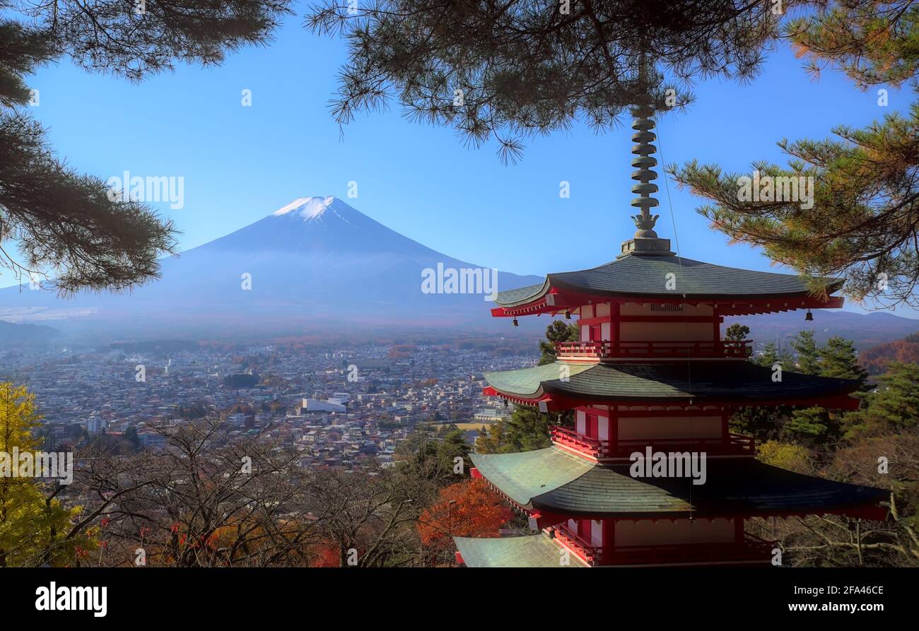 Yamanashi, Japan - November 17 2020: Morning view of Chureito Pagoda and Mount Fuji framed by an autumnal canopy under a blue sky Stock Photo