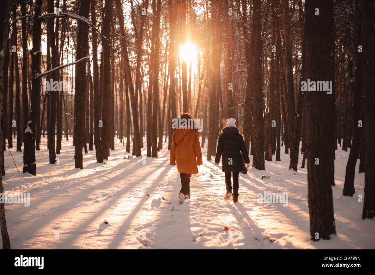 Back view of female friends walking in snow covered park during winter Stock Photo
