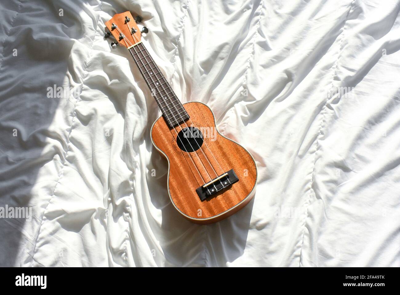 wooden ukulele on white background Stock Photo Alamy
