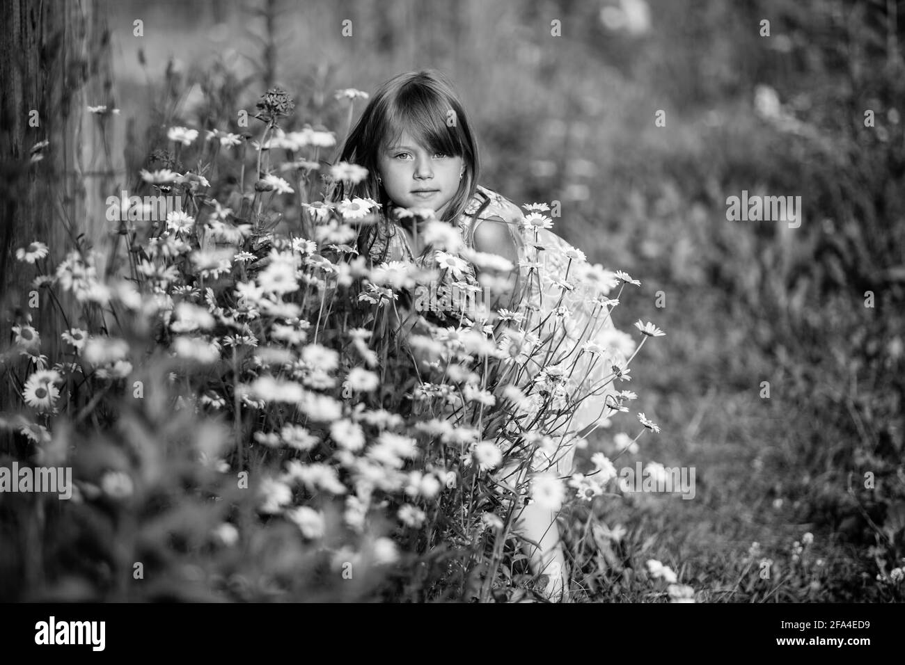 Portrait of little girl among wildflowers. Black and white photo Stock ...