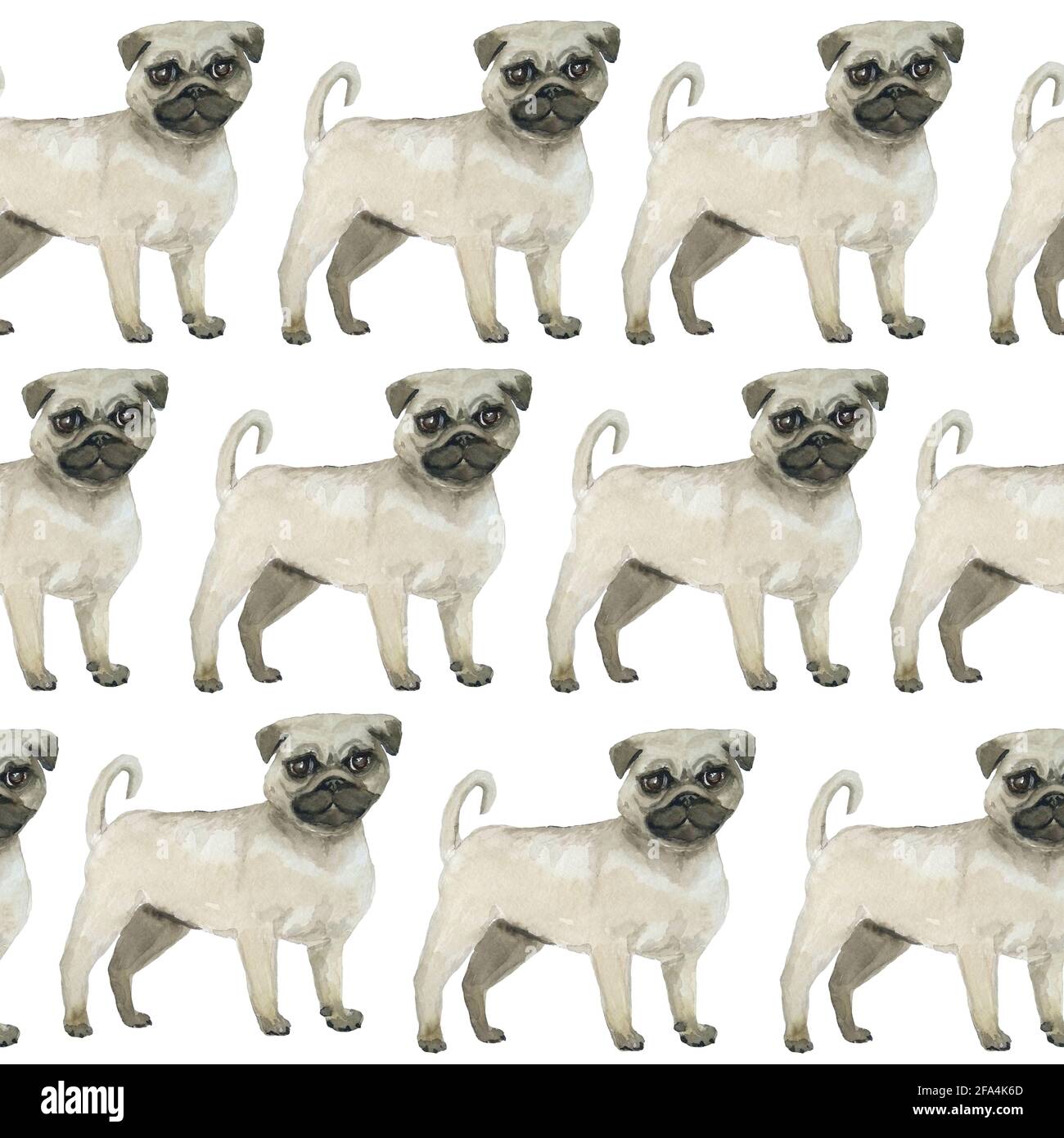 Watercolor seamless hand drawn pattern with pugs dogs breed isolated on ...
