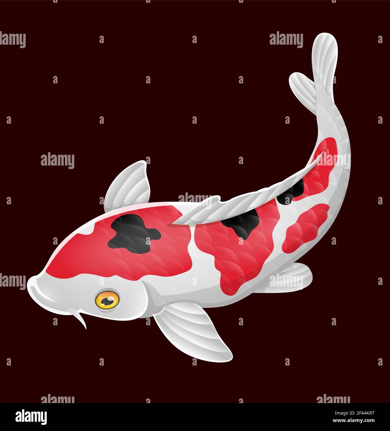 My Image 34