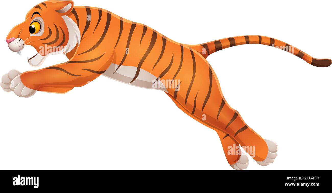Cartoon funny tiger jumping on white background Stock Vector Image & Art - Alamy Cartoon funny tiger jumping on white background Stock Vector Image & Art - Alamy