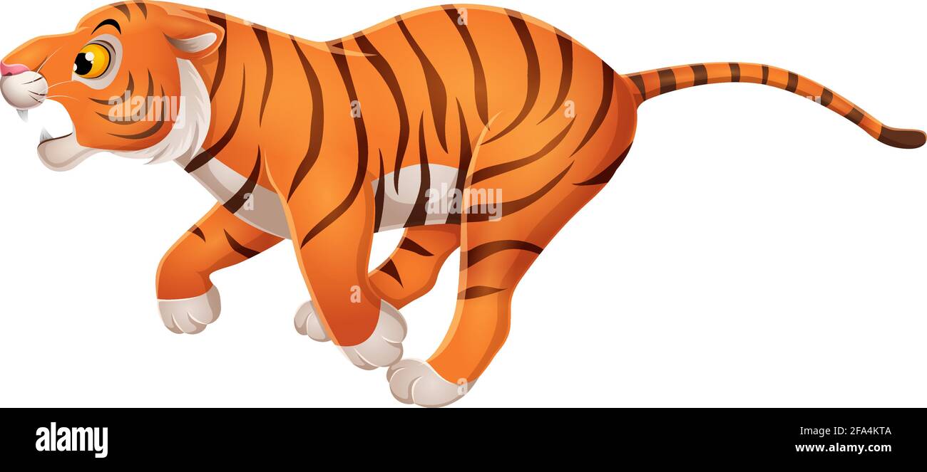 Cartoon funny tiger running on white background Stock Vector Image & Art -  Alamy