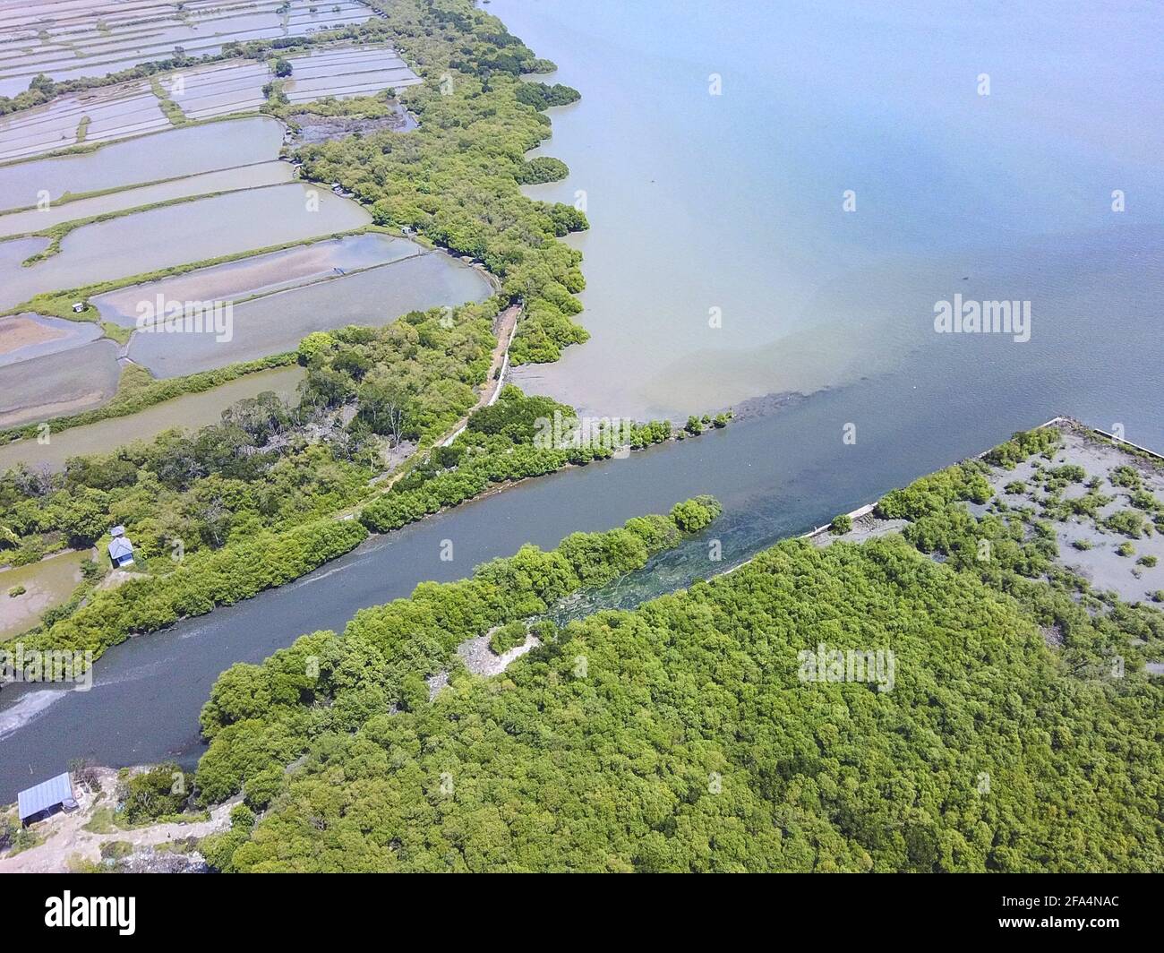 Aerial view thick tropical forest hi-res stock photography and images ...