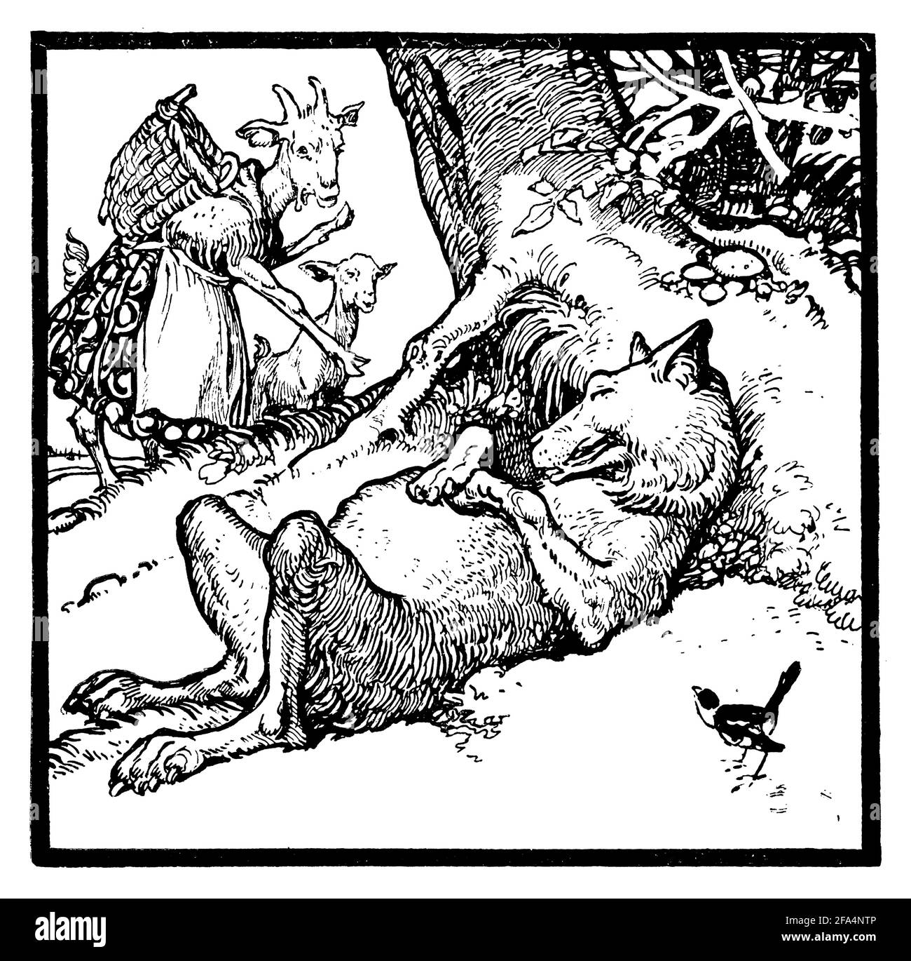 the-wolf-and-the-seven-little-goats-the-mother-and-the-youngest-kid