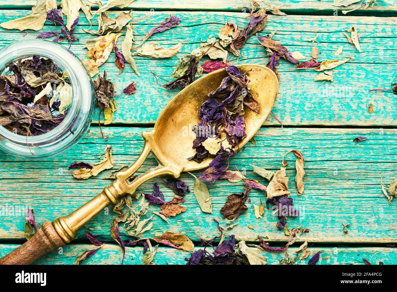 Dried natural basil spice in spoon.Natural dried herbs Stock Photo