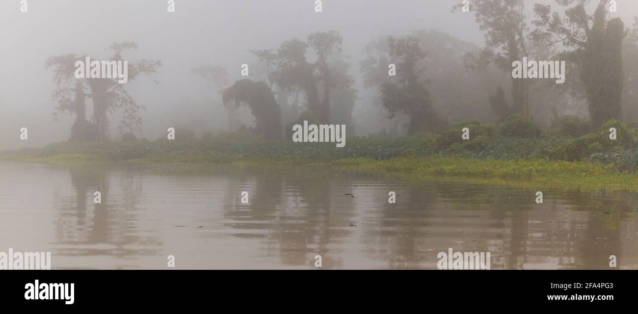 Panoramic view of misty rainforest in early morning light along Rio Chagres in Soberania national park, Republic of Panama. Stock Photo